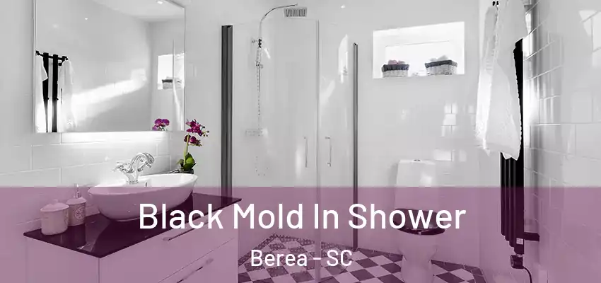 Black Mold In Shower Berea - SC