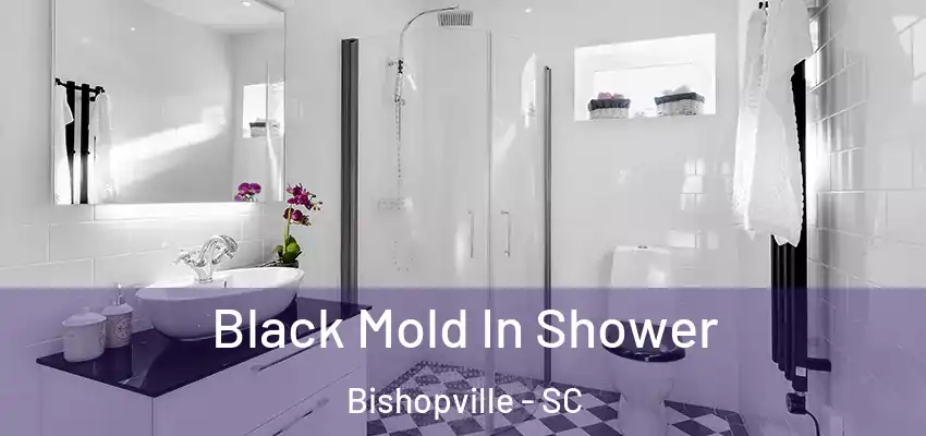 Black Mold In Shower Bishopville - SC