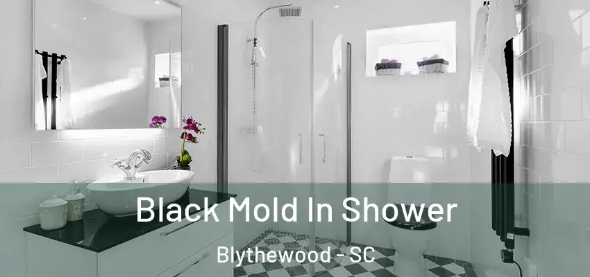  Black Mold In Shower Blythewood - SC