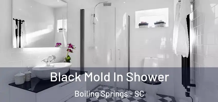  Black Mold In Shower Boiling Springs - SC