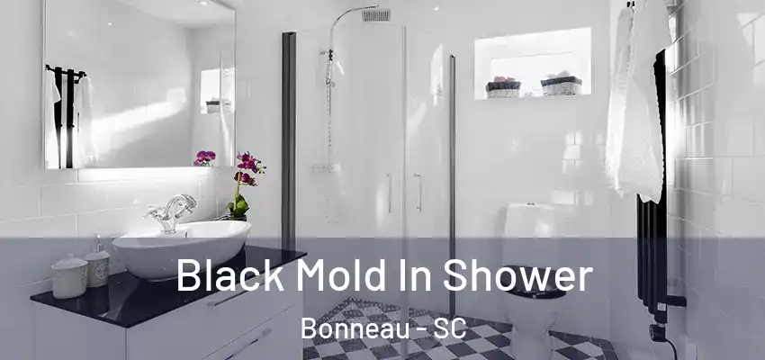  Black Mold In Shower Bonneau - SC