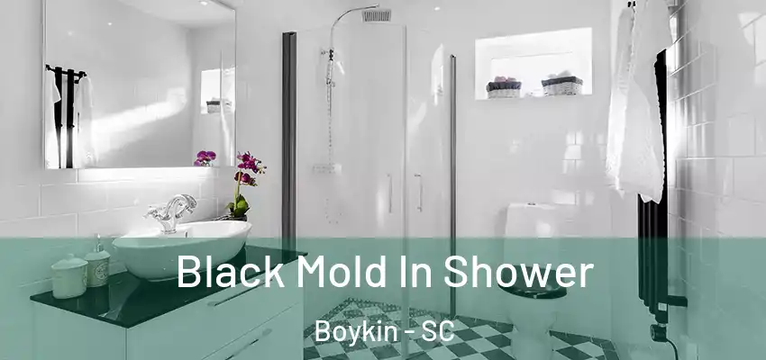 Black Mold In Shower Boykin - SC