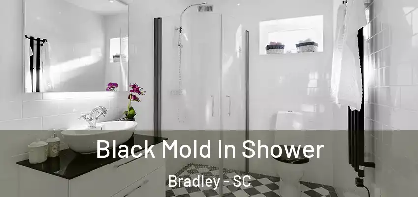  Black Mold In Shower Bradley - SC