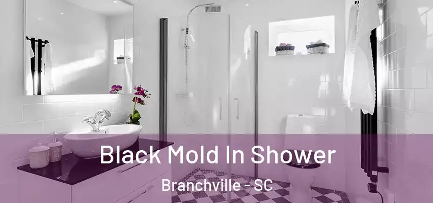  Black Mold In Shower Branchville - SC