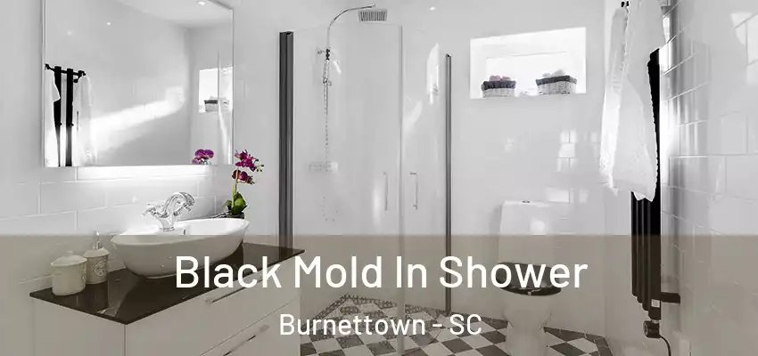  Black Mold In Shower Burnettown - SC
