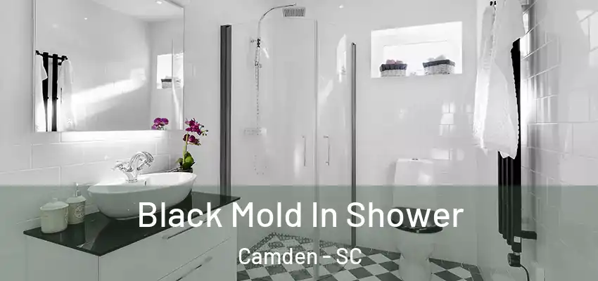  Black Mold In Shower Camden - SC