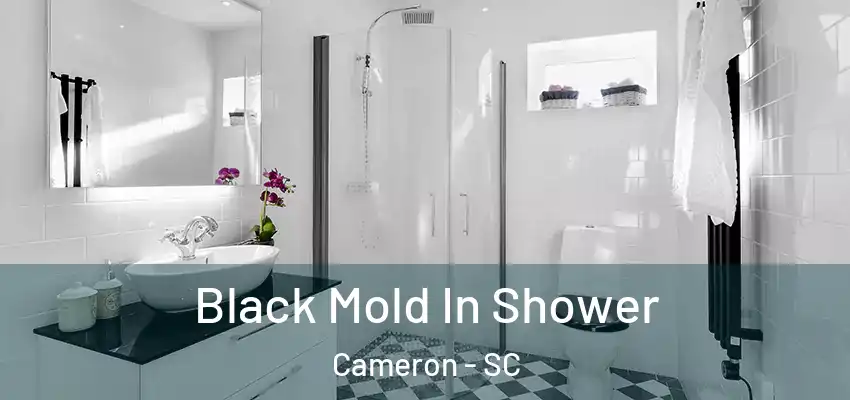  Black Mold In Shower Cameron - SC