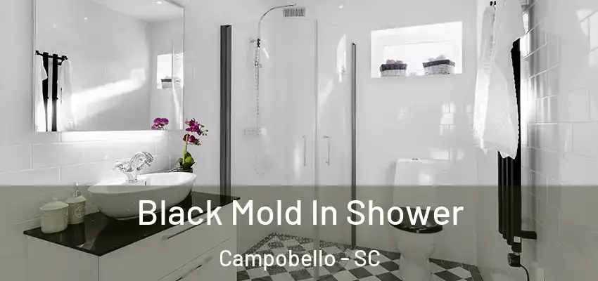  Black Mold In Shower Campobello - SC