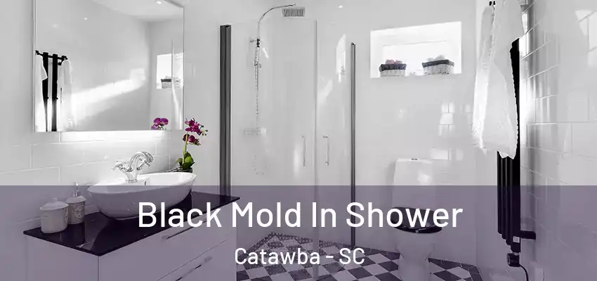  Black Mold In Shower Catawba - SC