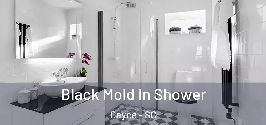 Black Mold In Shower Cayce - SC