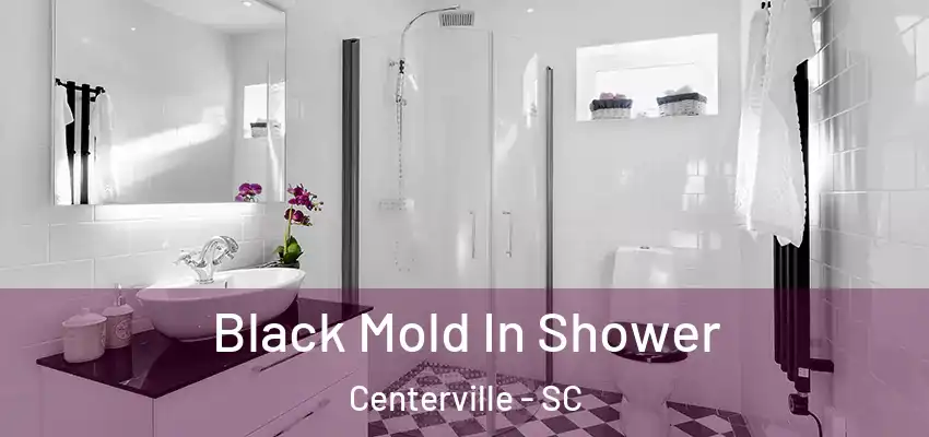 Black Mold In Shower Centerville - SC