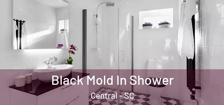  Black Mold In Shower Central - SC