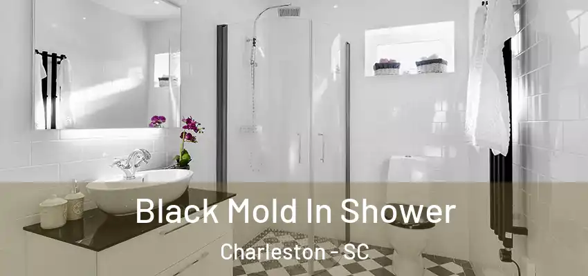  Black Mold In Shower Charleston - SC