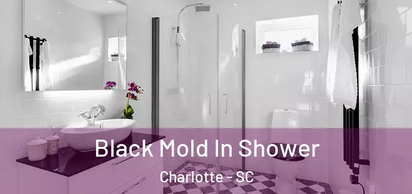  Black Mold In Shower Charlotte - SC