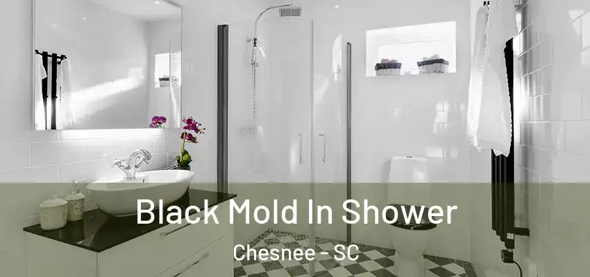 Black Mold In Shower Chesnee - SC