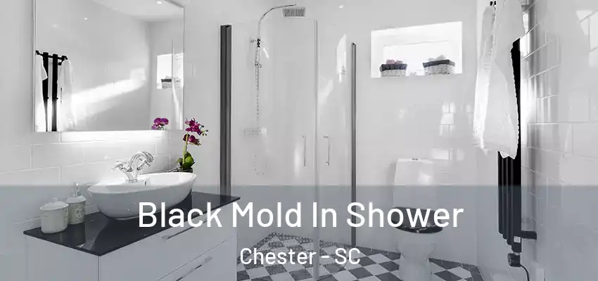  Black Mold In Shower Chester - SC