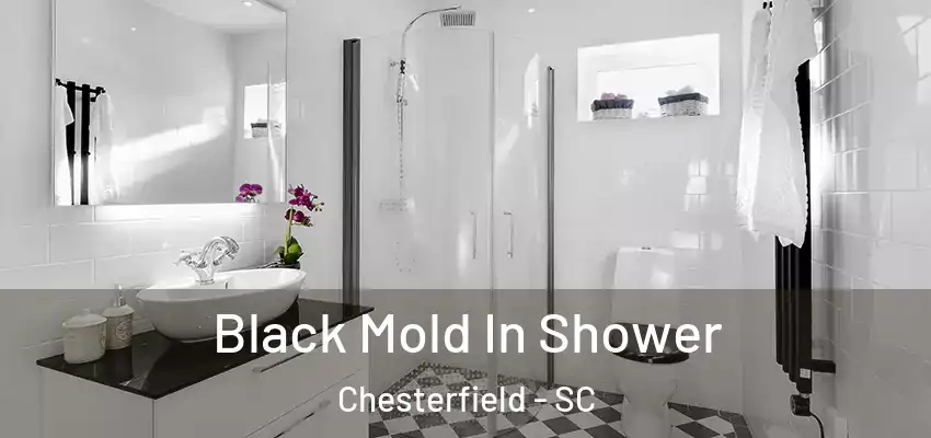  Black Mold In Shower Chesterfield - SC