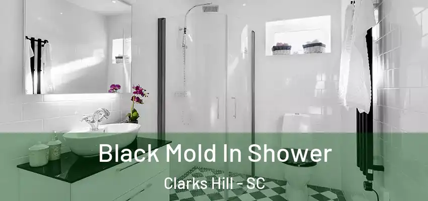  Black Mold In Shower Clarks Hill - SC
