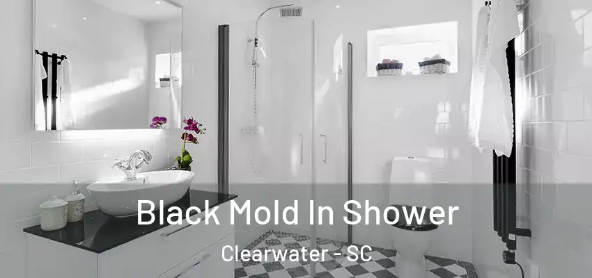  Black Mold In Shower Clearwater - SC