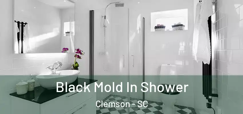 Black Mold In Shower Clemson - SC