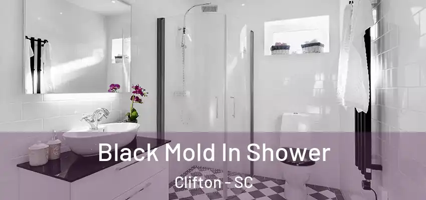 Black Mold In Shower Clifton - SC