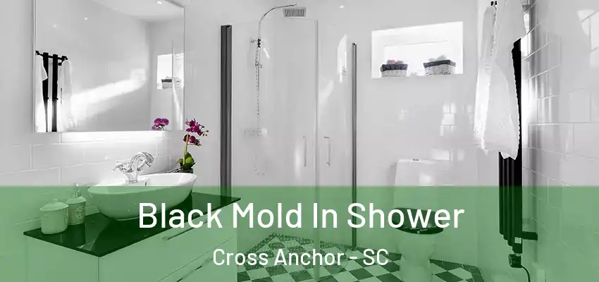  Black Mold In Shower Cross Anchor - SC