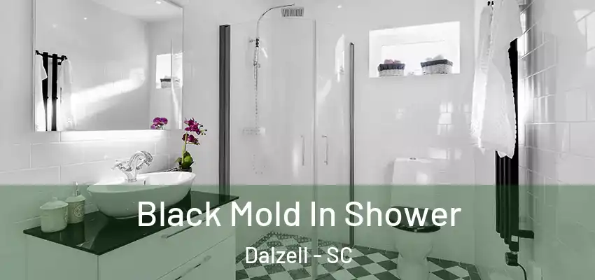 Black Mold In Shower Dalzell - SC