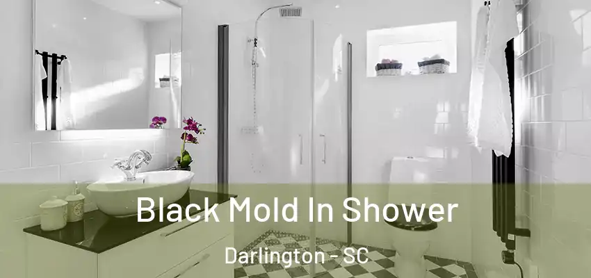  Black Mold In Shower Darlington - SC