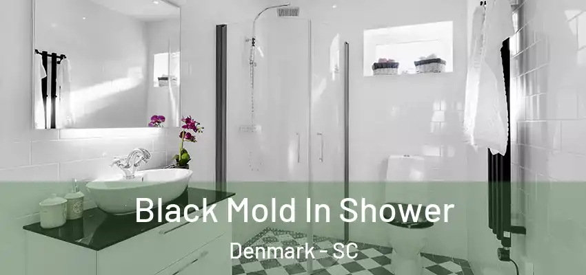 Black Mold In Shower Denmark - SC