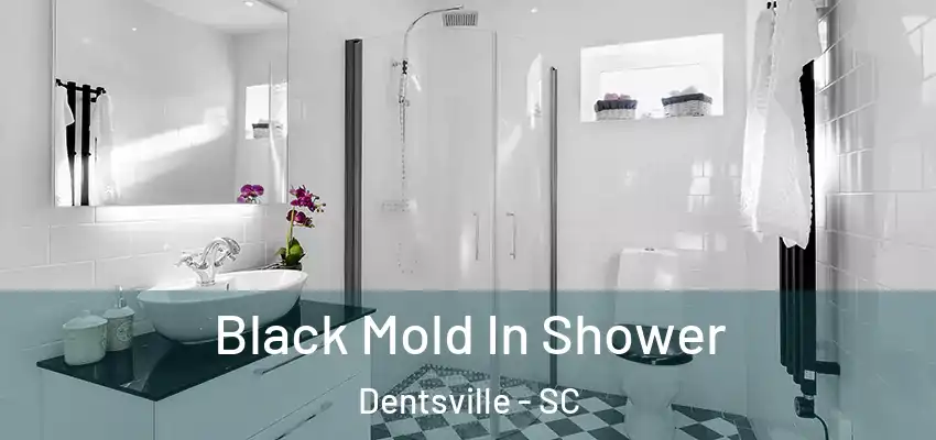  Black Mold In Shower Dentsville - SC