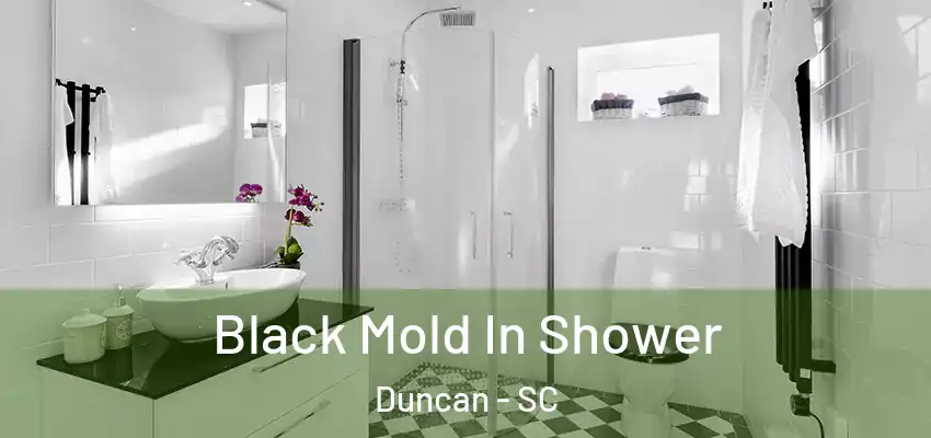  Black Mold In Shower Duncan - SC
