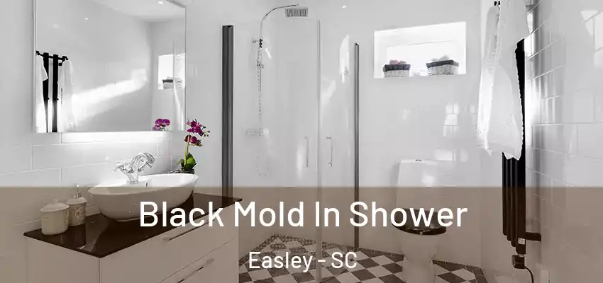  Black Mold In Shower Easley - SC