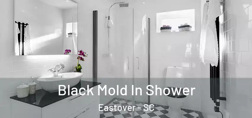  Black Mold In Shower Eastover - SC