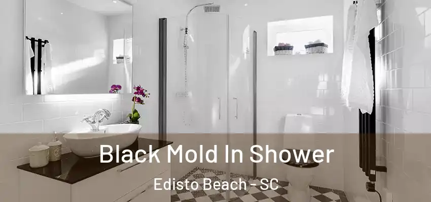 Black Mold In Shower Edisto Beach - SC