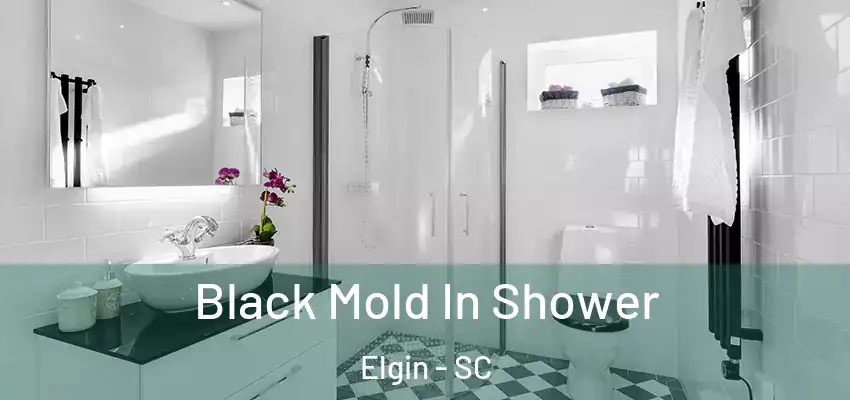  Black Mold In Shower Elgin - SC