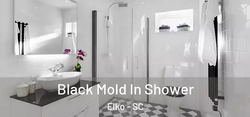  Black Mold In Shower Elko - SC