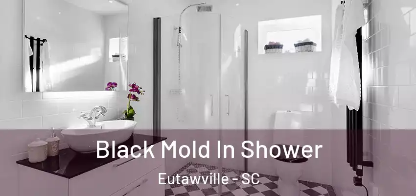 Black Mold In Shower Eutawville - SC
