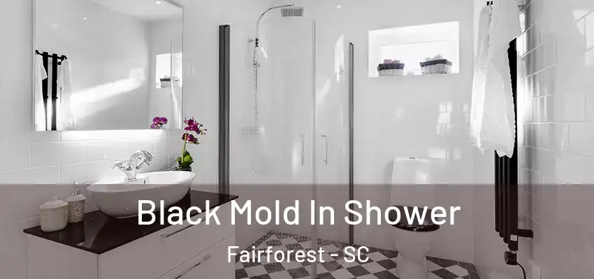  Black Mold In Shower Fairforest - SC
