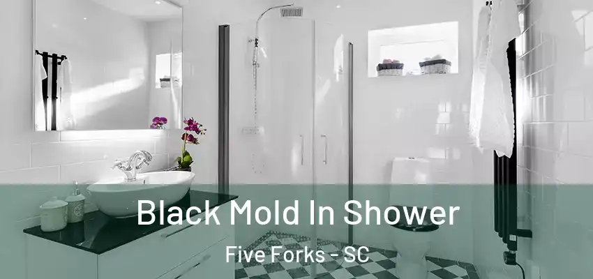  Black Mold In Shower Five Forks - SC