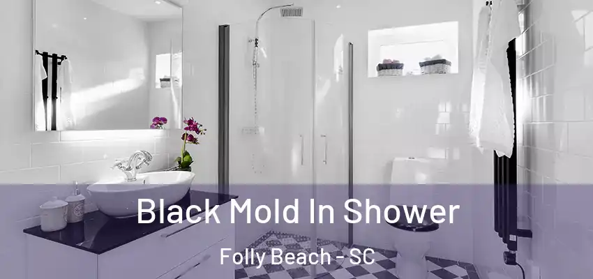 Black Mold In Shower Folly Beach - SC