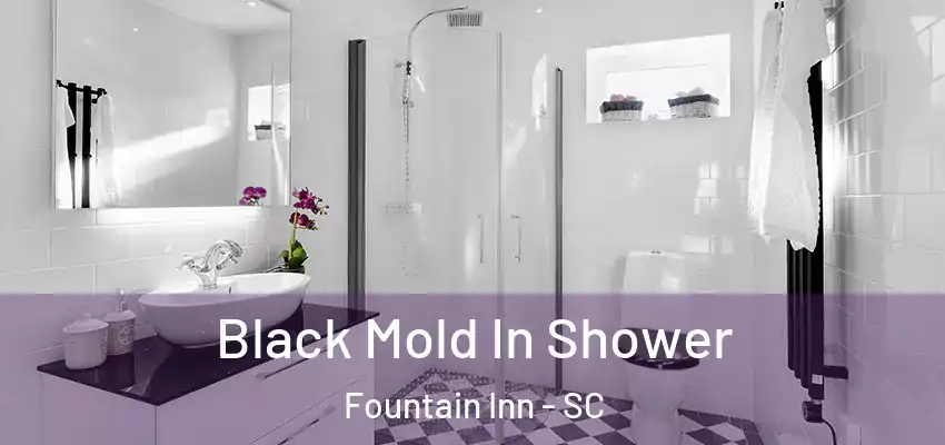 Black Mold In Shower Fountain Inn - SC