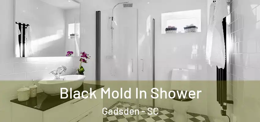 Black Mold In Shower Gadsden - SC