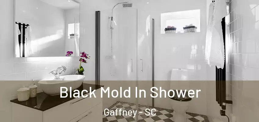  Black Mold In Shower Gaffney - SC