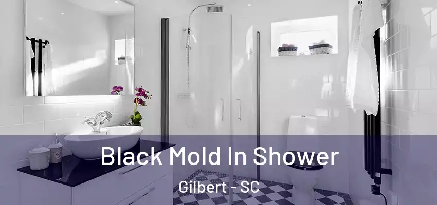  Black Mold In Shower Gilbert - SC
