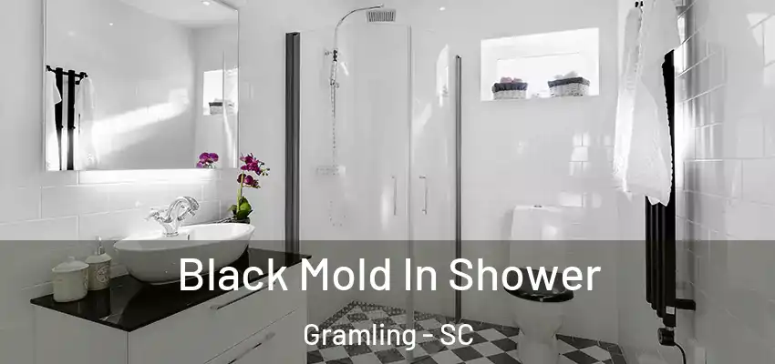  Black Mold In Shower Gramling - SC