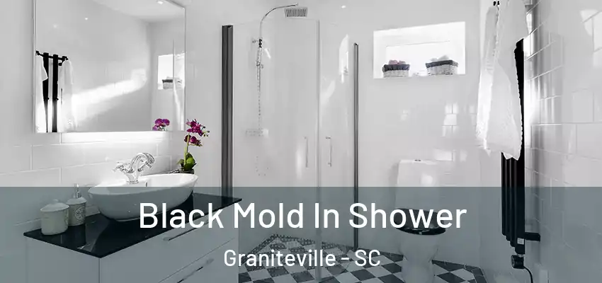  Black Mold In Shower Graniteville - SC
