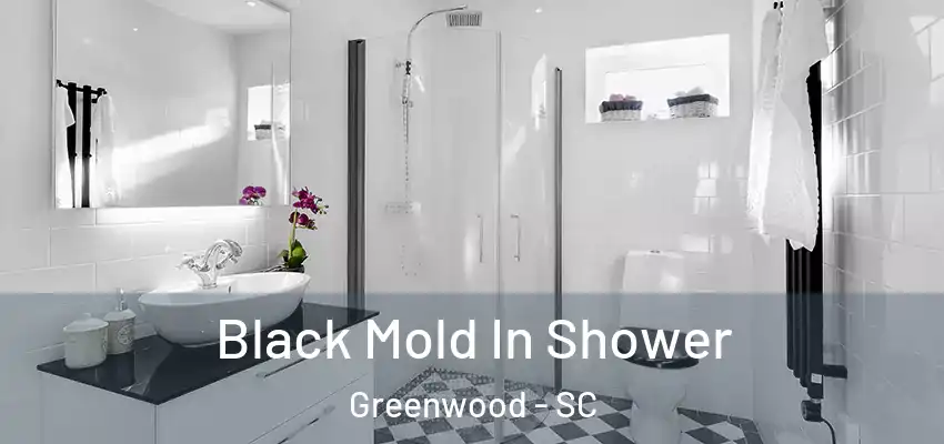 Black Mold In Shower Greenwood - SC