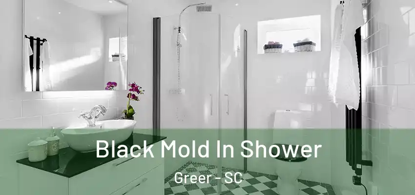  Black Mold In Shower Greer - SC