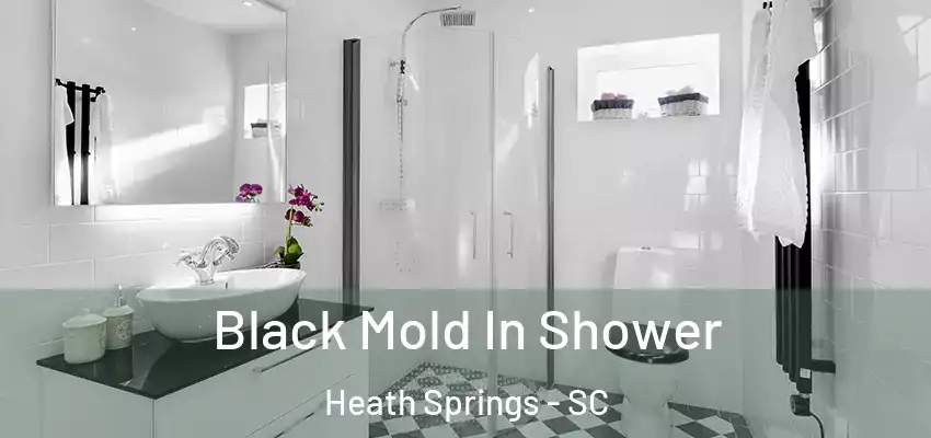 Black Mold In Shower Heath Springs - SC
