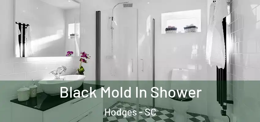  Black Mold In Shower Hodges - SC